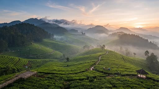 Panorama pegunungan hijau di kawasan Darajat